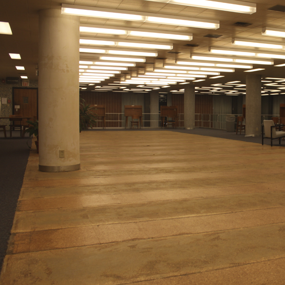 Beginning on January 30, the barren library landscape will begin its transformation.