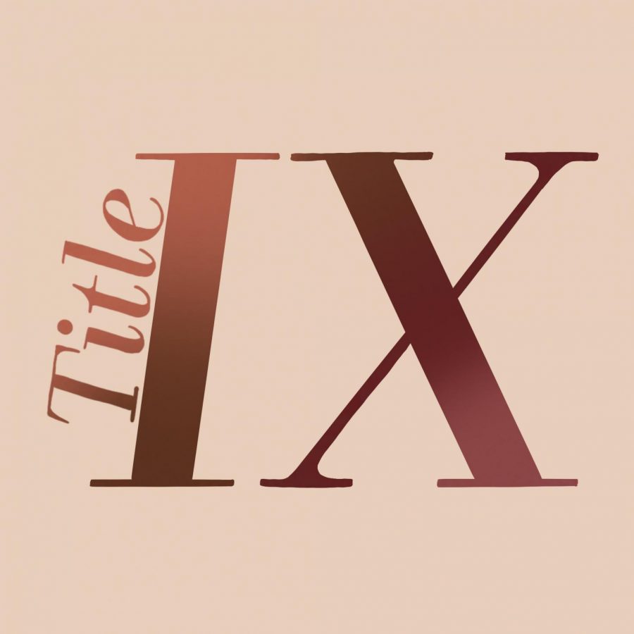 Title IX Article_LiVigni