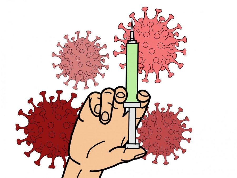 Importance of the 2020 Flu Shot