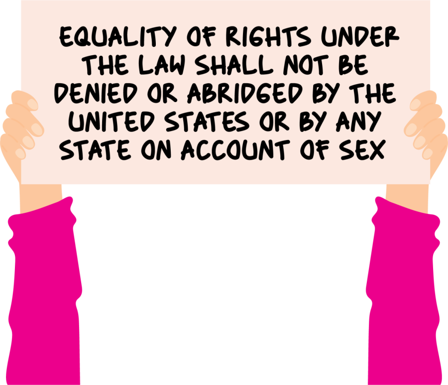 DUNLAVY-equal-rights-amendment